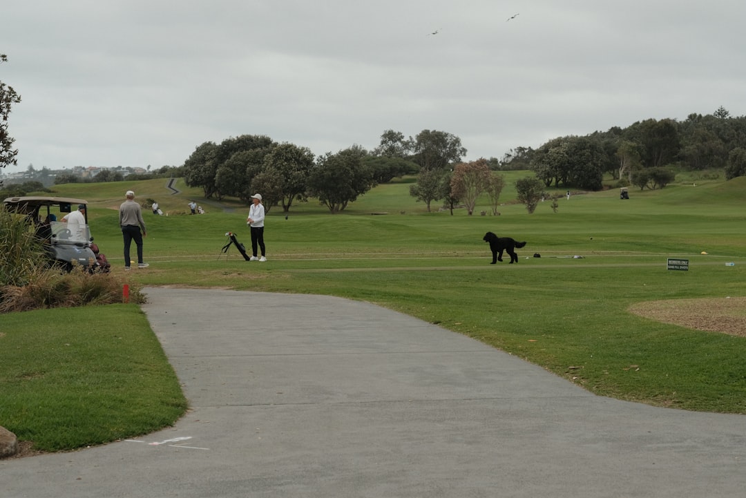 Photo Golfers swing